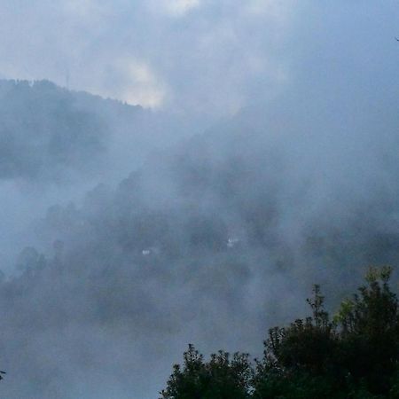 Bagar Trails Hotel Nainital Kültér fotó